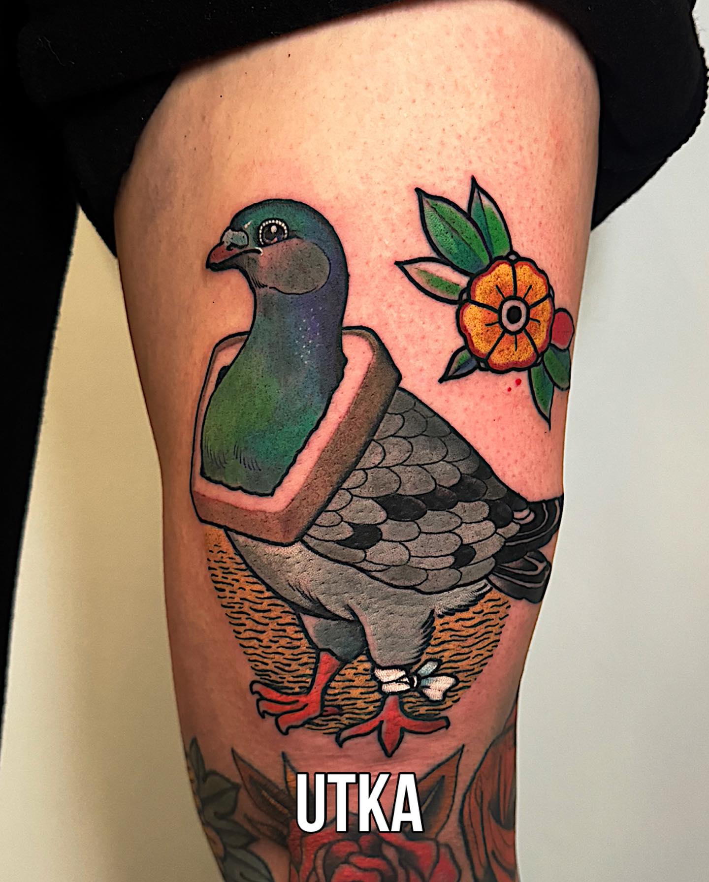 Tatuaż old school gołąb z kromką chleba – autorski motyw tradycyjny – Kraków