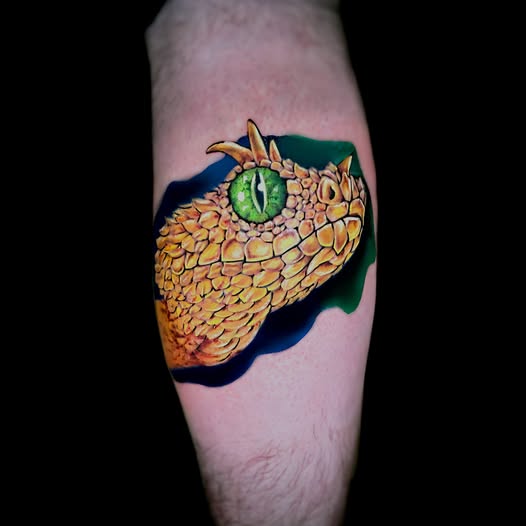 Tatuaż realistyczny wąż – Kraków