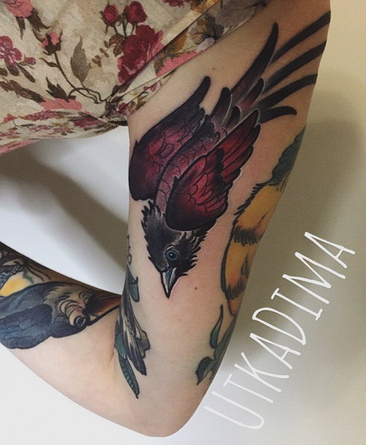 Tatuaż neotradycyjny szkarłatny ptak – autorski projekt w kolorze – Kraków