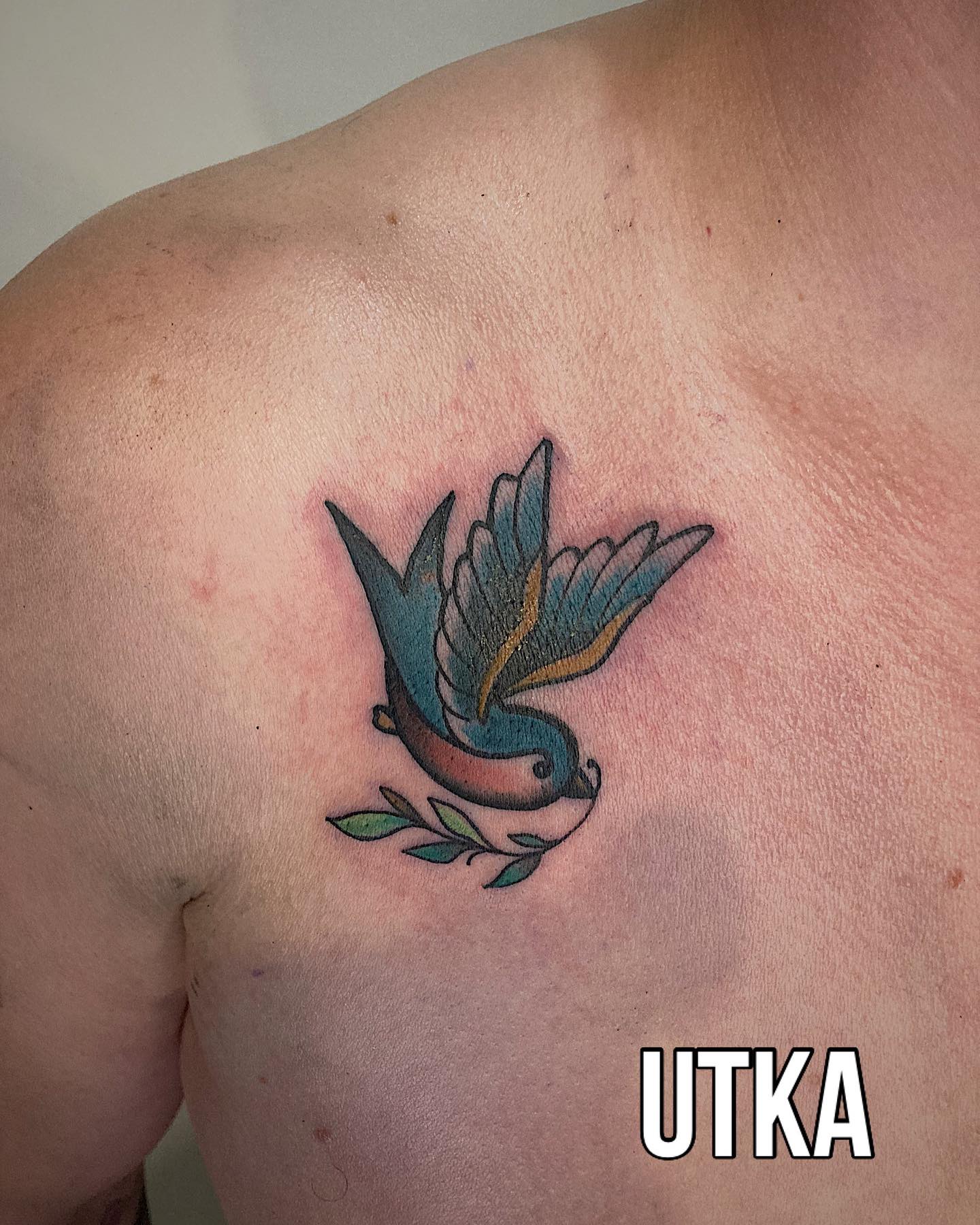 Tatuaż old school jaskółka – klasyczny motyw tradycyjny – Kraków