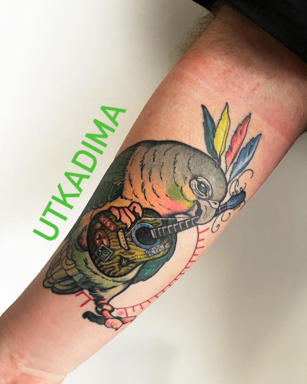 Tatuaż old school papuga z gitarą – klasyczny motyw tradycyjny – Kraków