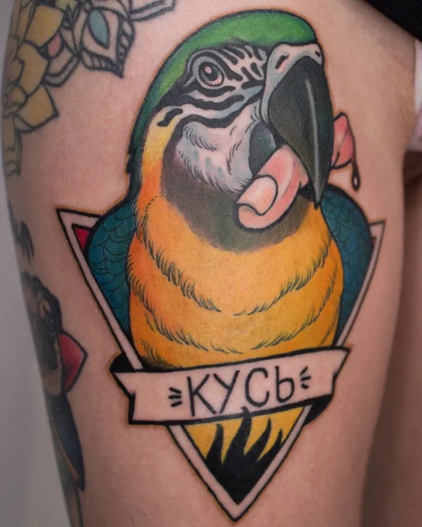 Tatuaż old school papuga – klasyczny tatuaż tradycyjny – Kraków